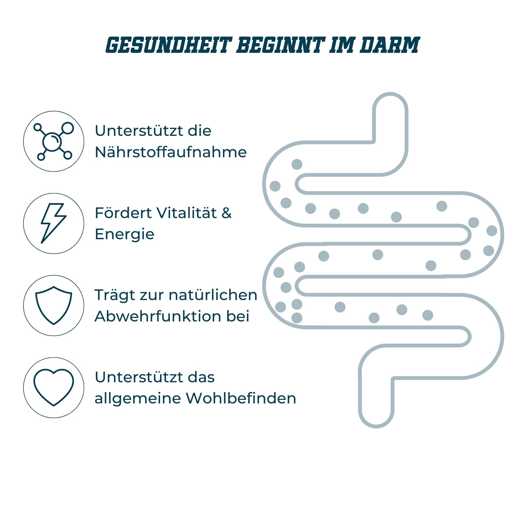 Catletics Proactive Darm+