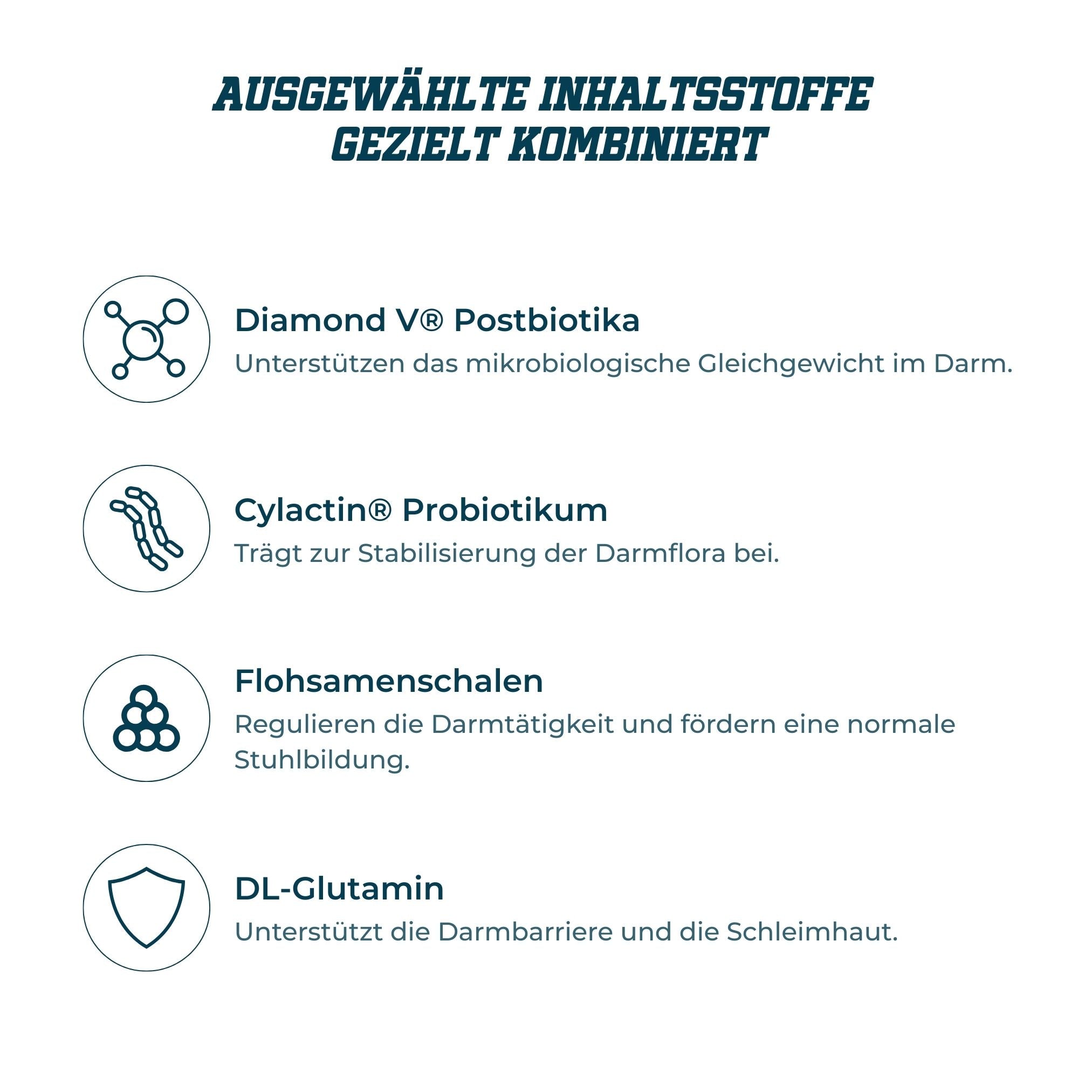 Catletics Proactive Darm+