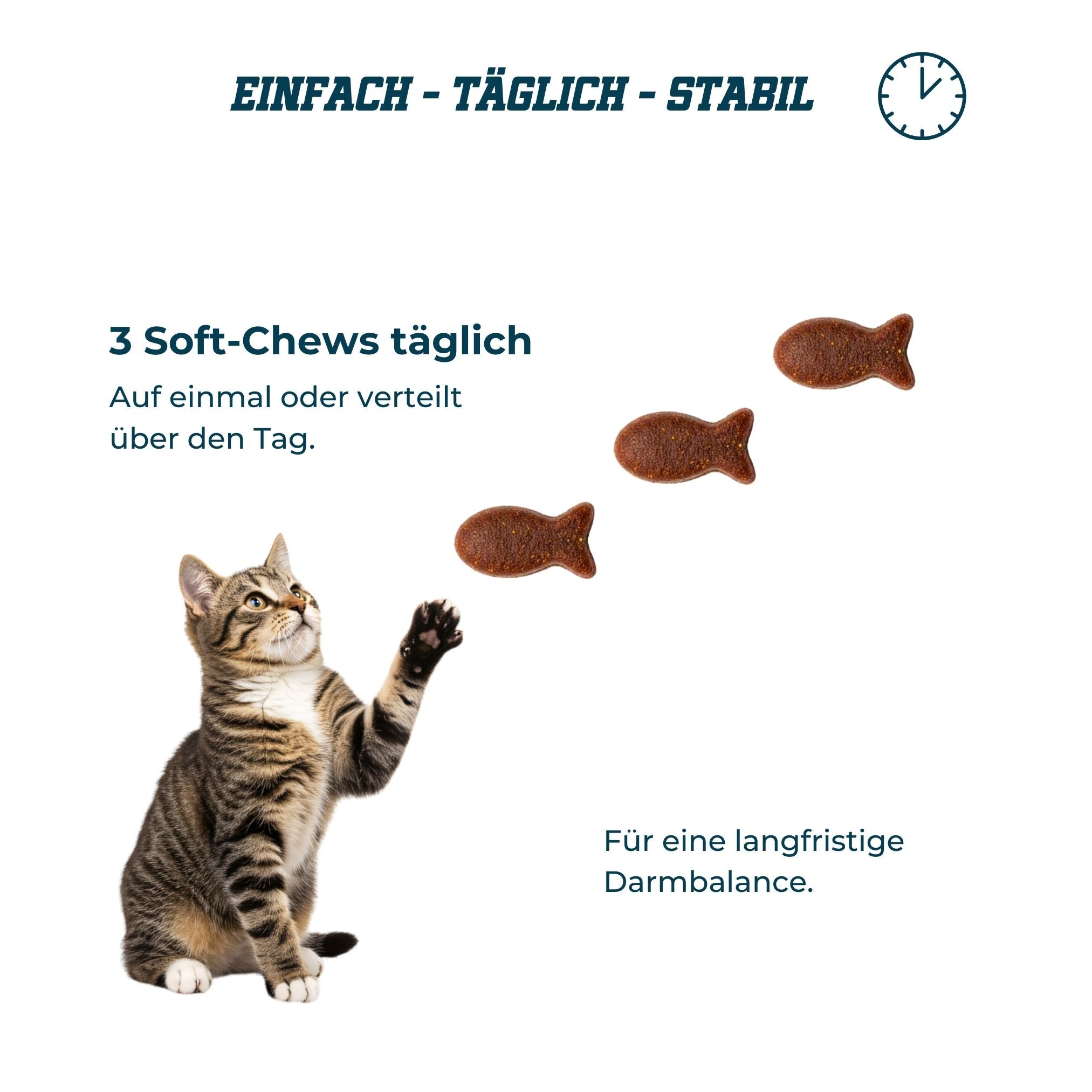 Catletics Proactive Darm+