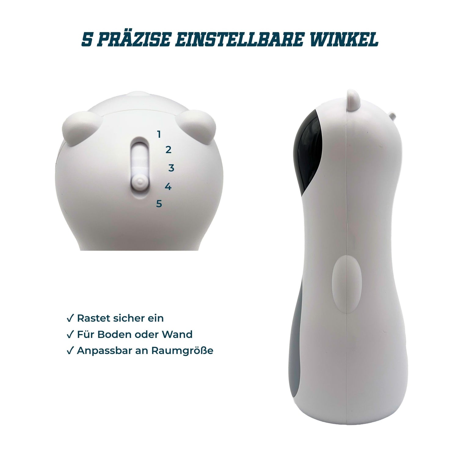 Catletics Motion Laser