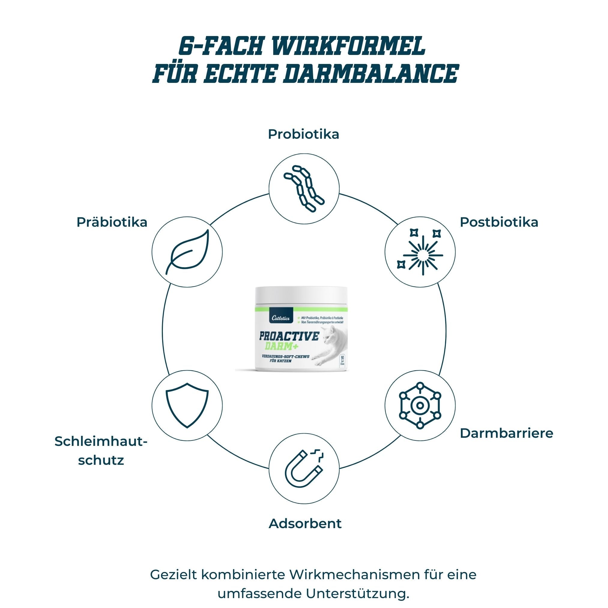 Catletics Proactive Darm+