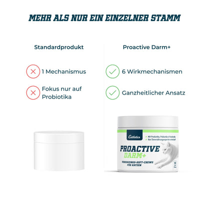 Catletics Proactive Darm+